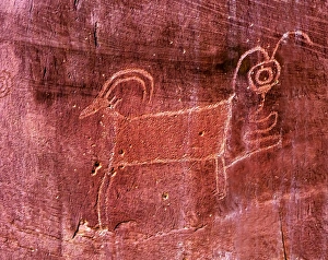 Sandstone Prints: Native American Indian Fremont Sheep Goat Petroglyph Sandstone Mountain Capitol Reef