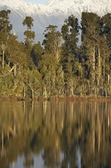 Images Dated 8th July 2007: Native Forest Reflected in Lake Mahinapua, near Hokitika, West Coast, South Island