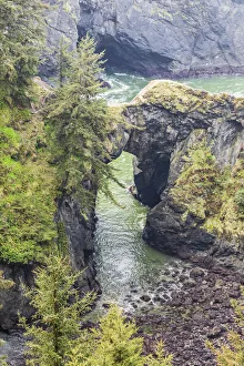 Images Dated 8th September 2021: Natural Bridges Viewpoint, Oregon, USA. View of the Natural Bridges on the Oregon coast