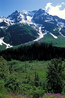 Images Dated 9th November 2005: natural landscape in Stewart, British Columbia, Canada