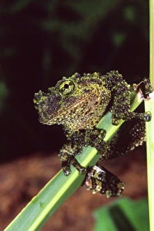 Images Dated 23rd August 2012: Nature, Fauna