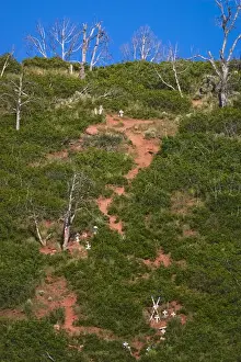 Terrain Prints: Near Glennword Springs, CO, the sight of the 1994 Storm King Mountain wildfire that