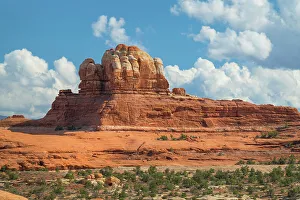 Paleontology Prints: Needles District, Canyonlands National Park, Utah