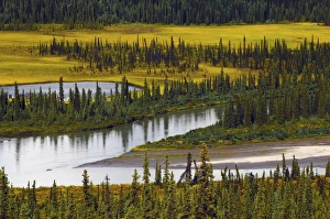 Winding Prints: Nenana River in Autumn; Denali Highway; Alaska; USA