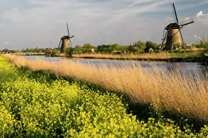 Mill Prints: Netherland, Kinderdijk. Windmills along the canal