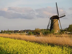 Netherland, Kinderdijk. Windmills along the canal