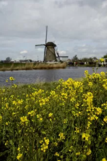 Images Dated 13th April 2008: Netherlands (aka Holland), Kinderdijk. 19 historic windmills situated at the convergence