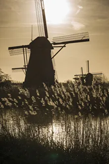 Images Dated 23rd December 2015: Netherlands, Kinderdijk, Traditional Dutch windmills