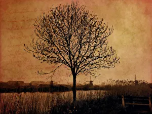 Netherland Prints: Netherlands, Kinderdijk. Tree along canal at Kinderdijk