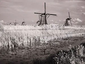 Images Dated 3rd February 2021: Netherlands, Kinderdijk. Windmills at sunset in Kinderdijk