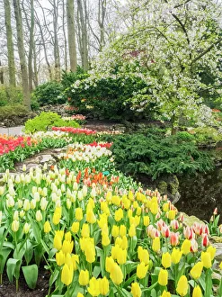 Netherlands, Lisse. Flower displays at Keukenhof Gardens