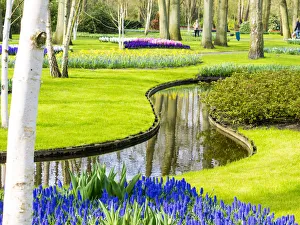 Images Dated 13th April 2016: Netherlands, Lisse. Multicolored flowers in spring