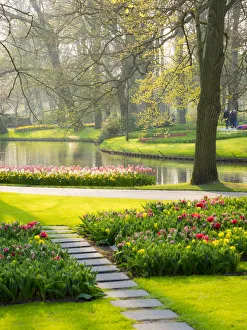 Botany Prints: Netherlands, Lisse. Path leading through spring flowers