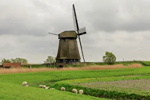 Windmill Prints: Netherlands, Noth Holland. Molencomplex. Schermerhorn. Windmills