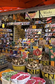 Images Dated 14th April 2008: Netherlands, South Holland, Amsterdam, Floating Flower Market