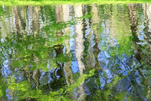 Netherland Prints: Netherlands, Zuid Holland, Lisse. Reflections of the woods in a pond