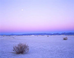 Graphic Prints: Nevada. USA. Moon over alkali playa at dawn. Railroad Valley. Great Basin