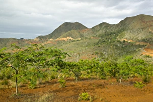 Images Dated 12th October 2007: NEW CALEDONIA, Grande Terre Island, Southern Grande Terre. Col du Mouirange Pass