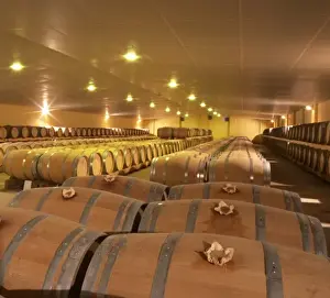 Maturing Prints: The new cellar for ageing wine in barrel, rows and rows of oak barriques Chateau
