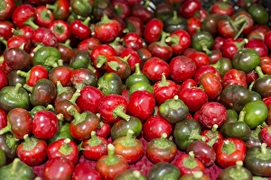 Images Dated 9th August 2014: New York City, NY, USA. Farmers market