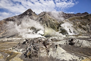Images Dated 29th January 2010: New Zealand