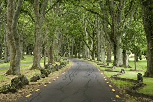 New Zealand