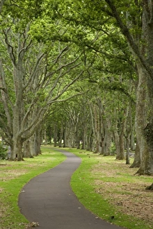 New Zealand