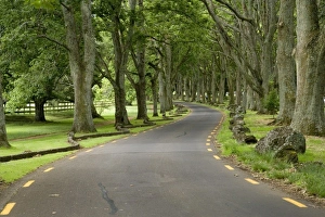 Images Dated 28th November 2006: New Zealand