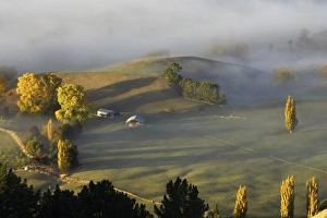 Images Dated 24th April 2007: New Zealand