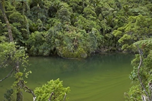 Images Dated 10th July 2007: New Zealand