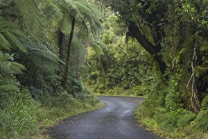 New Zealand