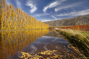 Images Dated 21st April 2011: New Zealand