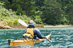Images Dated 26th January 2007: New Zealand