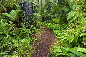 Images Dated 13th July 2011: New Zealand