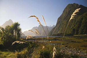 Images Dated 22nd March 2007: New Zealand