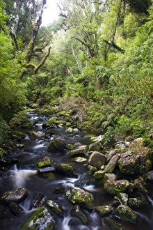 Images Dated 29th March 2007: New Zealand