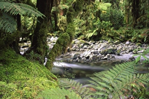 New Zealand