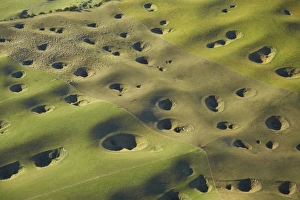 Images Dated 10th July 2009: New Zealand