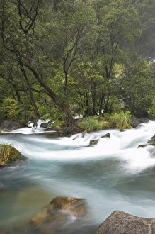 Images Dated 18th October 2009: New Zealand