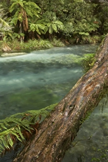 New Zealand