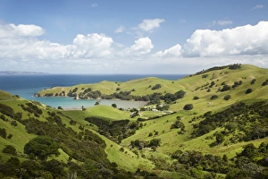 Images Dated 15th December 2009: New Zealand