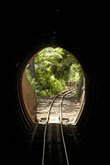 Images Dated 15th December 2009: New Zealand