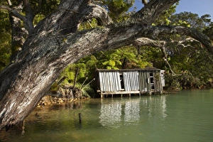 Images Dated 16th December 2009: New Zealand
