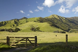 Images Dated 15th December 2009: New Zealand