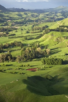 Images Dated 16th October 2009: New Zealand