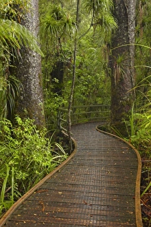 New Zealand