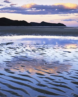 Images Dated 12th November 2009: New Zealand, Abel Tasman National Park, Coast