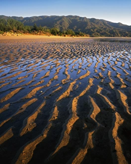 New Zealand, Abel Tasman National Park, Coast