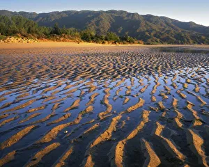 New Zealand, Abel Tasman National Park, Coast