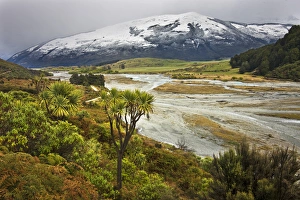Glenorchy Prints: New Zealand Asia Glenorchy Morning after Snow